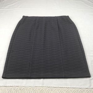 Dress Barn Skirt